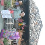 Vraj-Yatra-2014- (401)